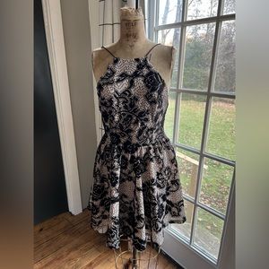 Black & Nude Bebe Dress